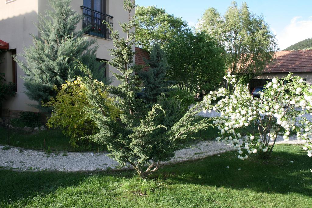 Malomdulo Farmhaz Guest House Pilisborosjeno Exterior photo