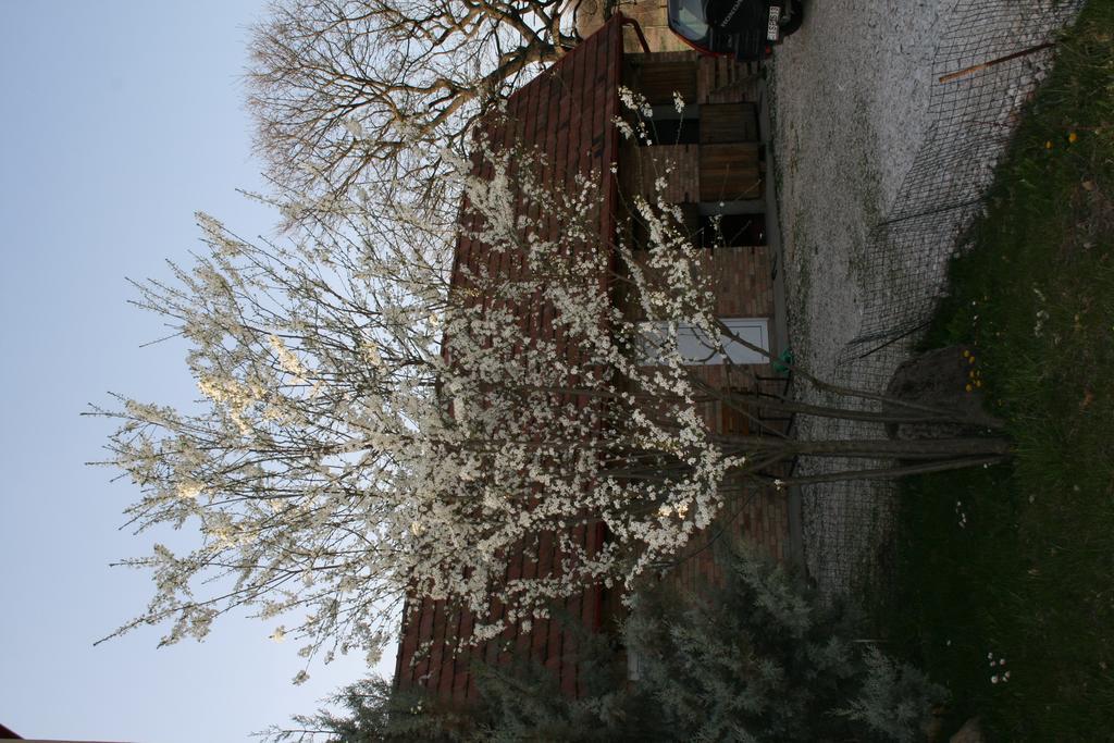 Malomdulo Farmhaz Guest House Pilisborosjeno Exterior photo